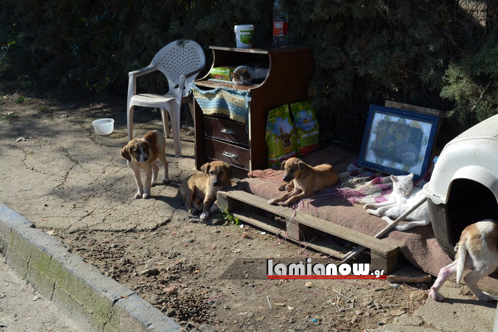 , Λαμία: Το μοναδικό του σπίτι ήταν ένα&#8230; αυτοκίνητο Ι Το &#8220;περισυνελέξαν&#8221; και έμεινε άστεγος! (εικόνες-video)