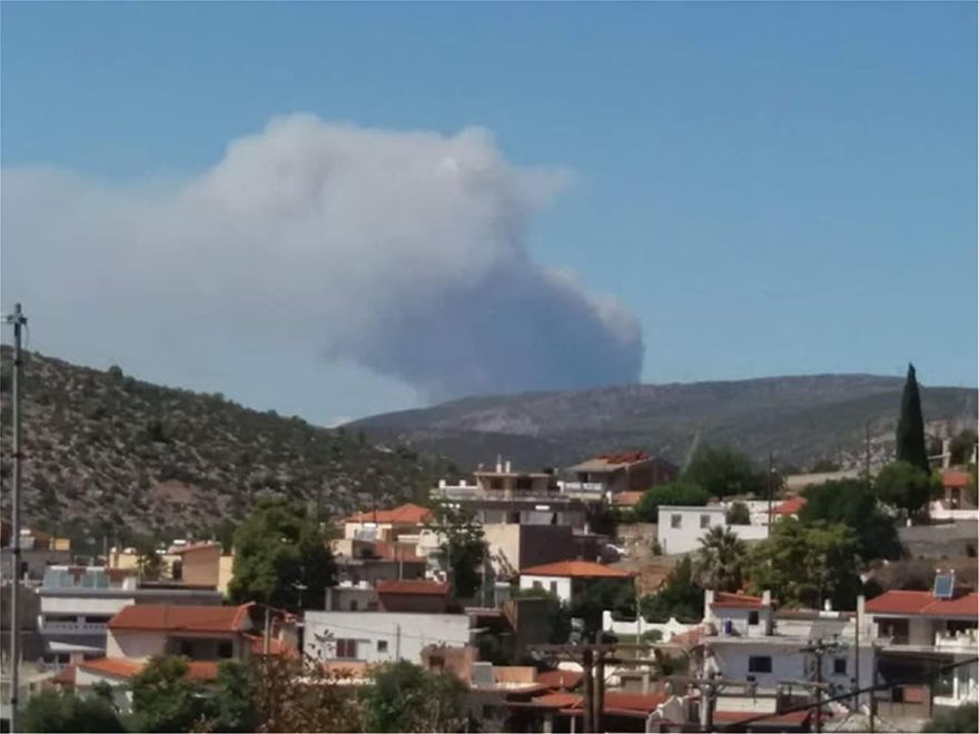ΚΟΝΤΟΔΕΣΠΟΤΙ 1