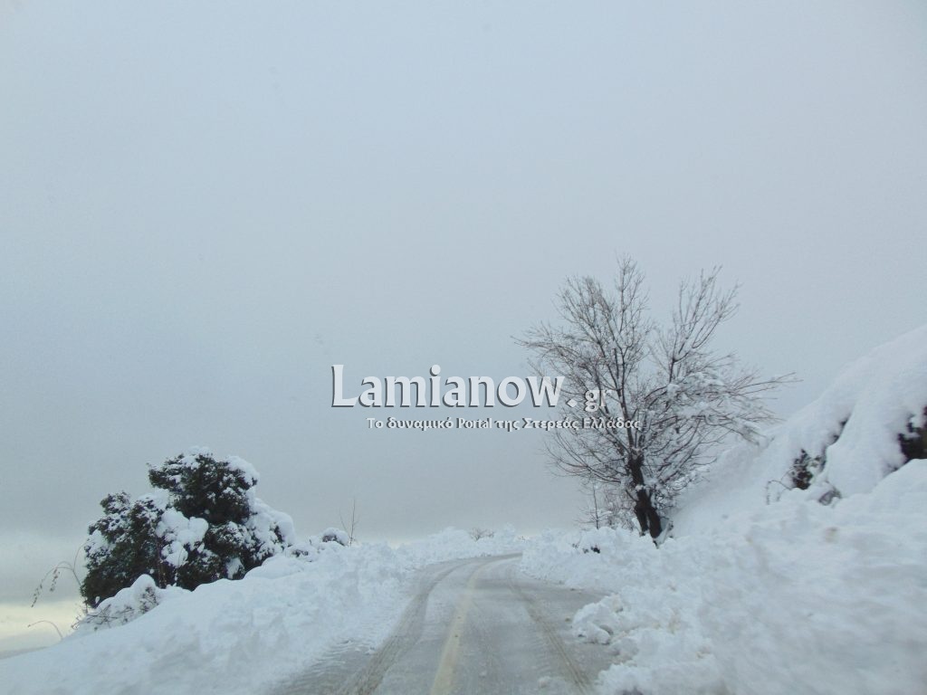 Αποτέλεσμα εικόνας για χιονια lamianow"