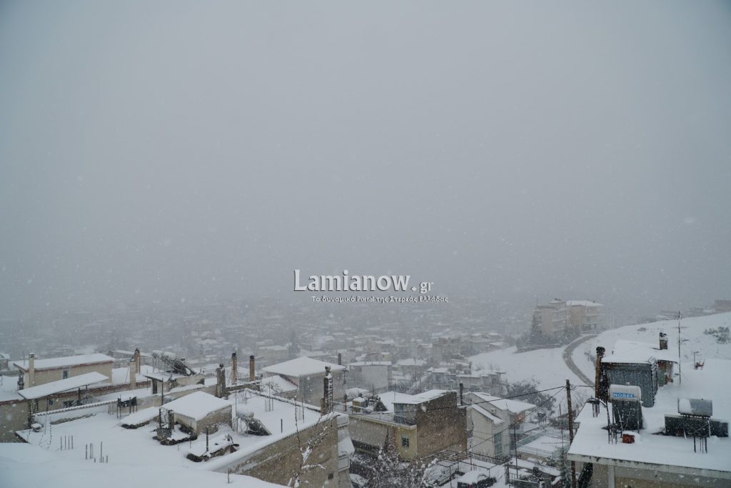 νεαχιονι00016