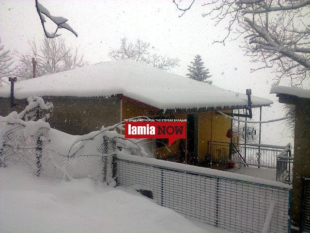 γαρδικι1