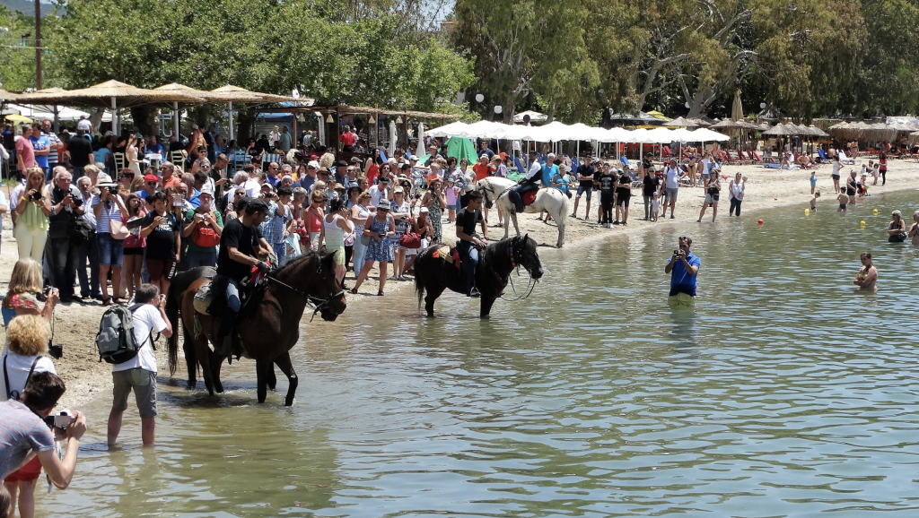 Στιγμιότυπο 2019 06 06 4.47.12 μμ