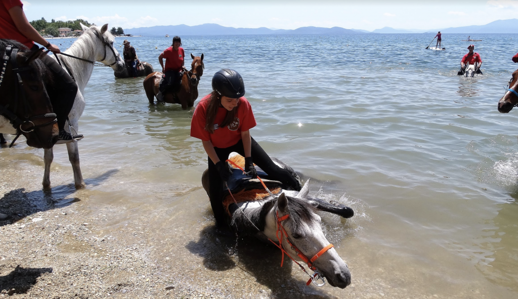 Στιγμιότυπο 2019 06 06 4.47.14 μμ