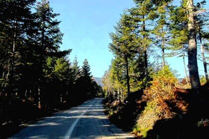 Screenshot 20201206 113723 Video Player 01