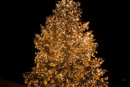 9da01b923e96b368a52842468b00a8ca XL