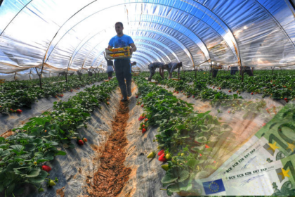 elga m triti apozimiwseis 86 ekat enisxuseis 12 ekat 2.w l