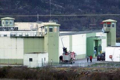 malandrinofylakes thumb large