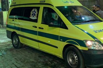 w29 83530ambulanceegypt