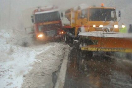 w29 92143forthgoxionia