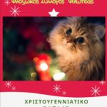 παζάρι αφίσσα scaled