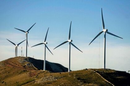 13e26455b9c7ad48d7fa0de41ce47bd6 XL