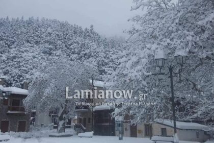 81497886 2120311004737893 3853604684157681664 n