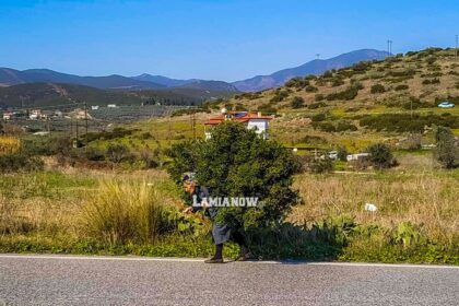 83499623 2469527406489471 177942745636143104 n