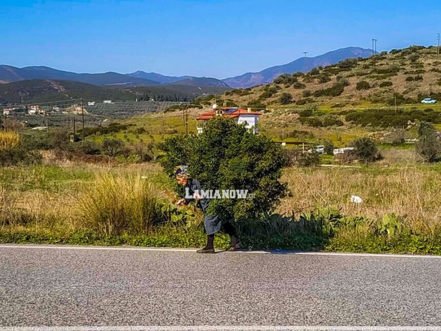 83499623 2469527406489471 177942745636143104 n