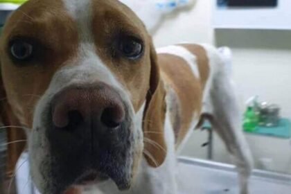 Serres pyrovolismos adespoto