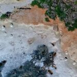 apolithomeno dasos haanity 17012020 scaled