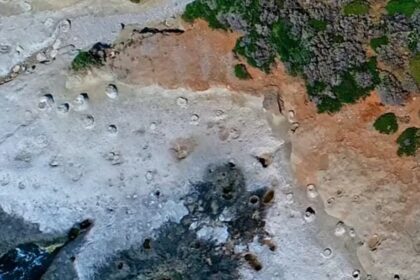 apolithomeno dasos haanity 17012020 scaled