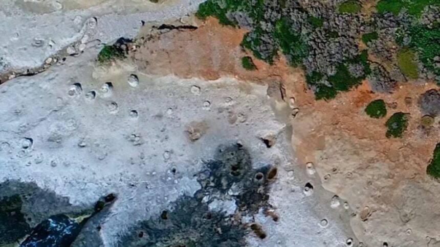 apolithomeno dasos haanity 17012020 scaled