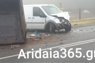 aridaia main