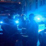 czech pyrosbestes epa untitled scaled