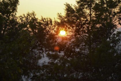 img 26061570558736 1024x683 1