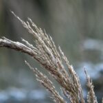 kairos psyxos scaled