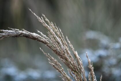 kairos psyxos scaled