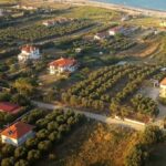 kthmatologio5555y scaled