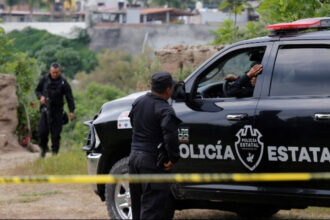 mexico batsoi
