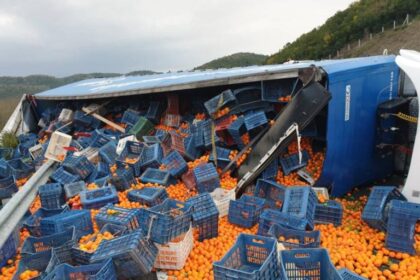 portokalia 1 768x576 1