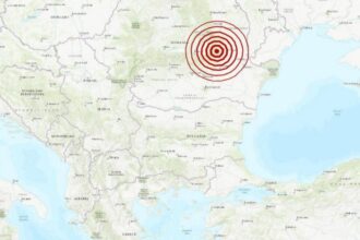 seisroum