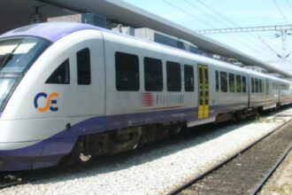 trainose 0 scaled