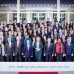 voridis verolino1 scaled