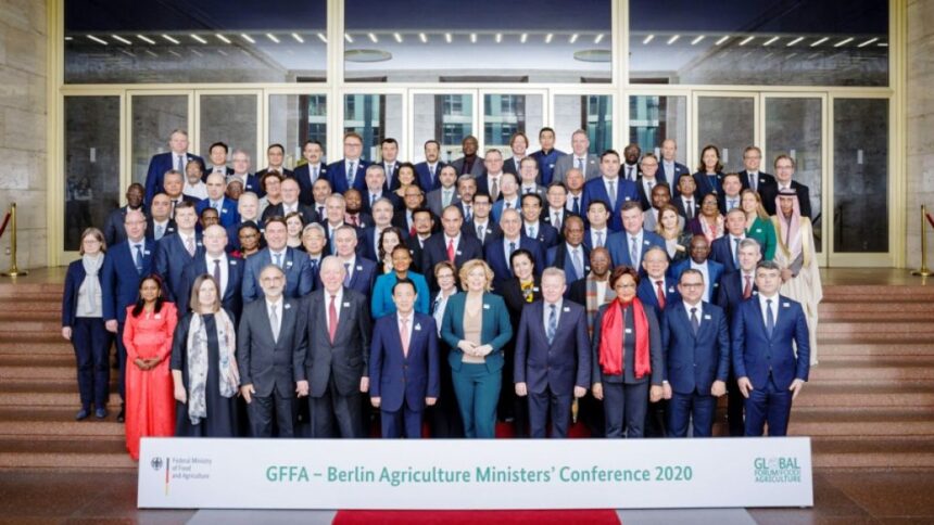 voridis verolino1 scaled