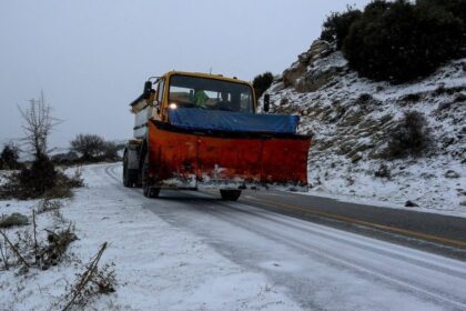 xionia dromoi scaled