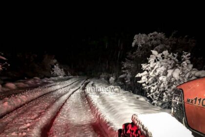 περιβολι00007