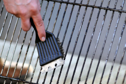 08023tsiknopempti schara