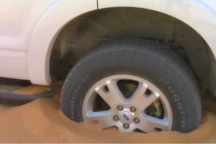 43f244c2f2516b9602a592921570511d