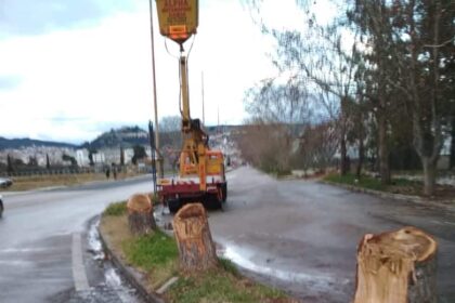 84091922 1037772413243979 6727594823508819968 n