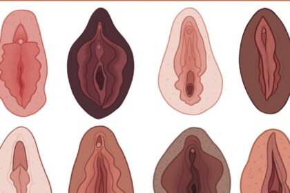 ART BY CHARLOTTE WILCO opt