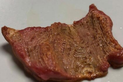 Vegan steak