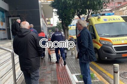 d7fa7cd0f181d040188a501dda08b150 XL