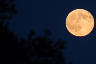 fullmoon