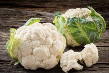 kounoupidi 575x384 1