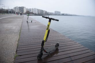 patinia scaled