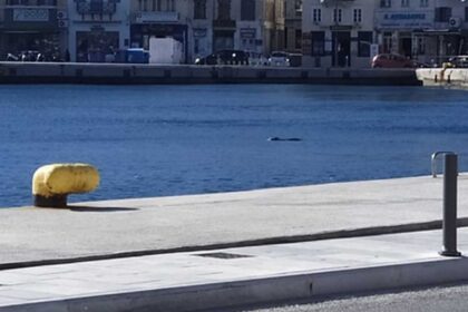 syros limani 1536x1148 1