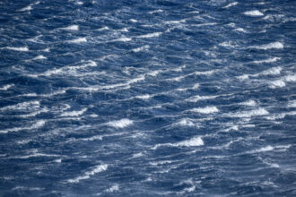 thalassa 768x528 1