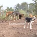 κινοκομειο 2