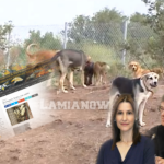 κινοκομειο 212