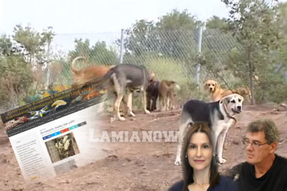 κινοκομειο 212